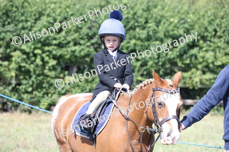 20250831-3149 - Class 24 - Absolute Beginners Pony