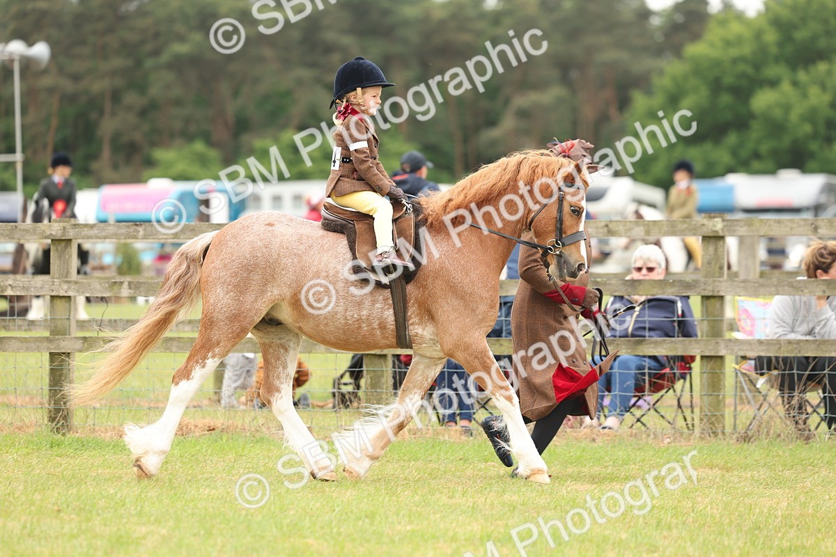 SBM_06731 - Class 74-75 - M&M Lead Rein and First Ridden Pony
