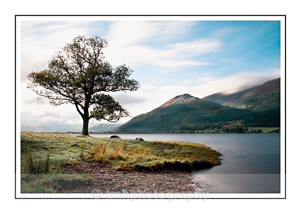 Shoreline on the Fells - Lakedistrict