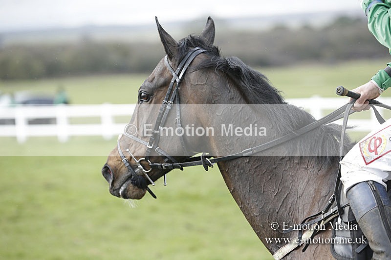 PtP 150320 0446 - New Forest Point-to-Point Larkhill 15/03/20