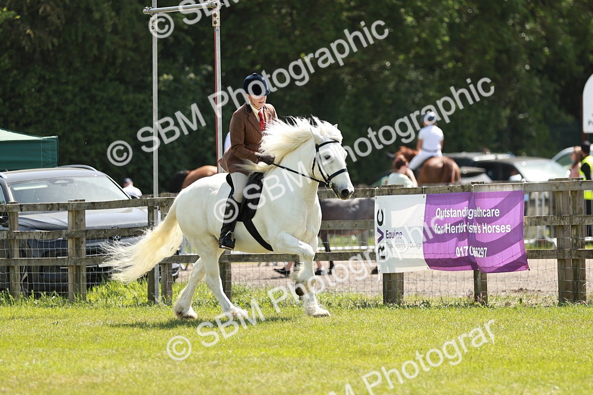SBM_07061 - Class 26-30 - Mountain and Moorland Ridden
