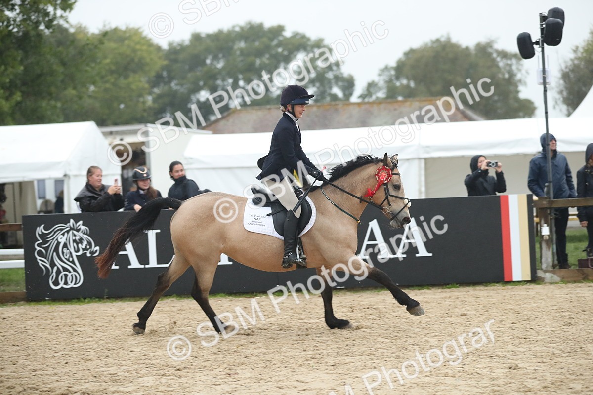 SBM_74361 - Supreme championship Junior Pony 70cm 75cm