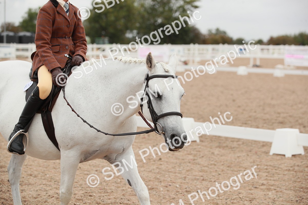 SBM_00804 - Class 30 - Intro 1