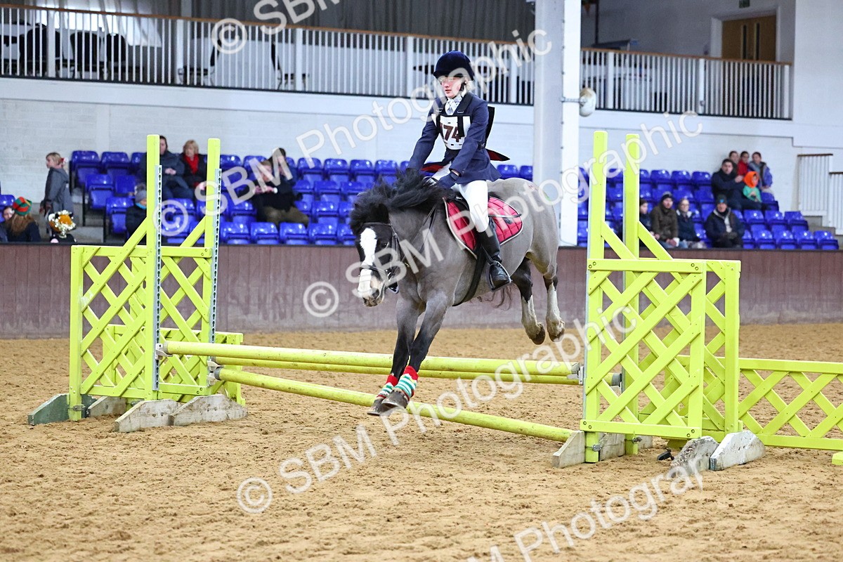 SBM_001260 - Class 3 - Christmas Tree Stakes - 60cm