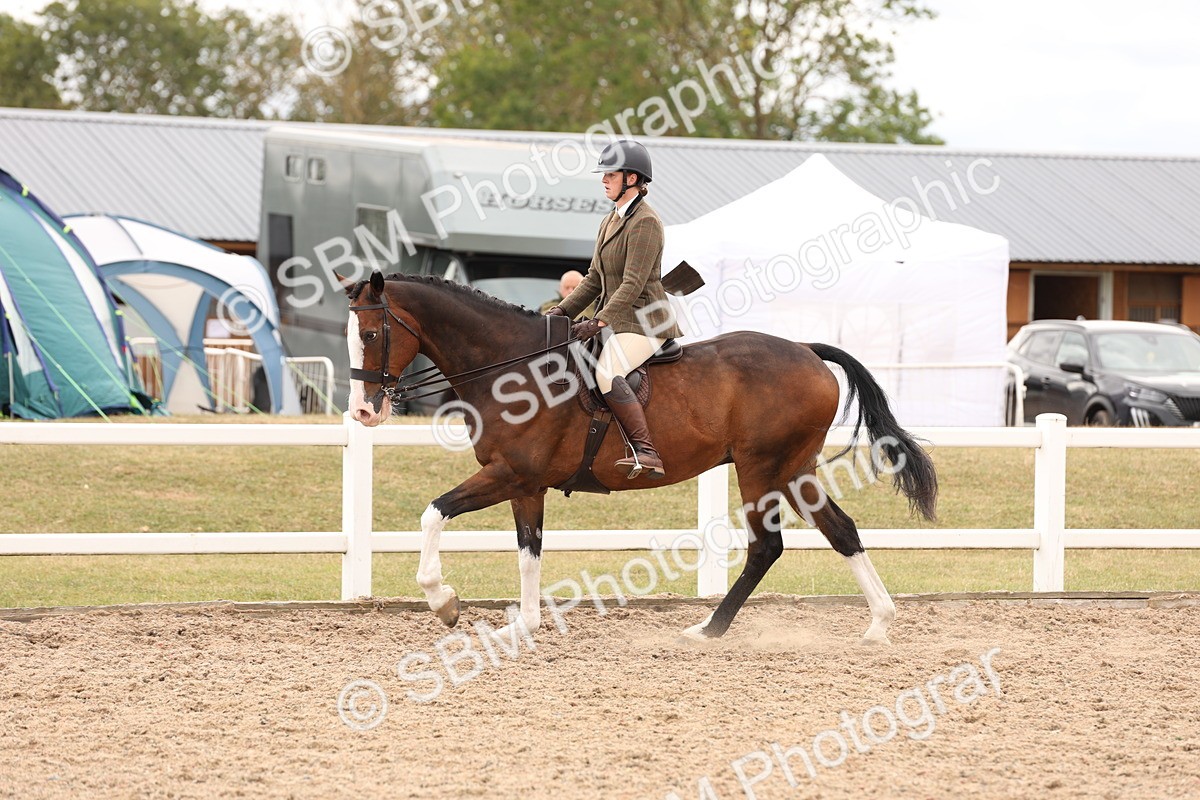 SBM_17243 - Class 213 - Ridden Hunter - Large