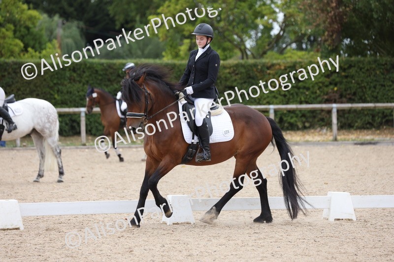 20250820-1084 - Class 17 - Elementary 4