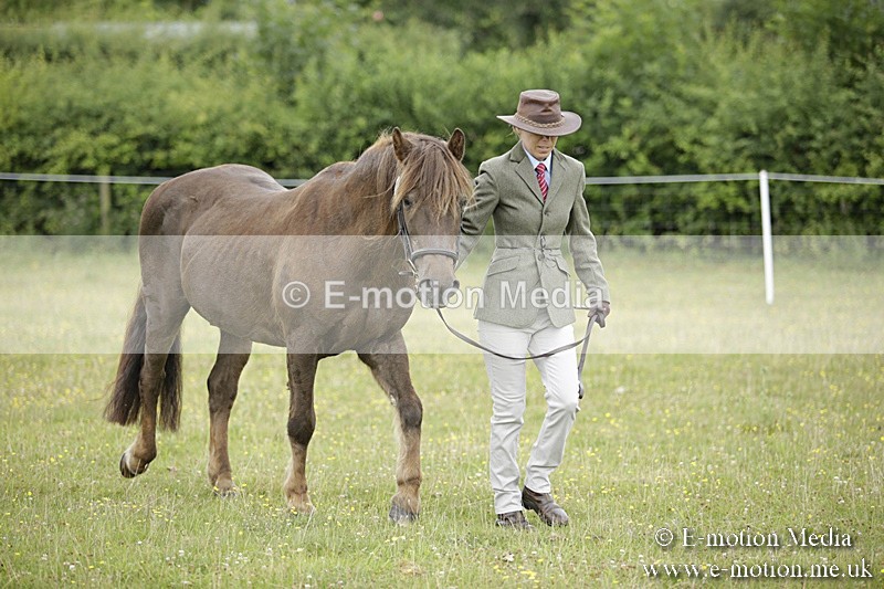 BVR160717-703 - Ring 2 BVRC Show 16/07/17