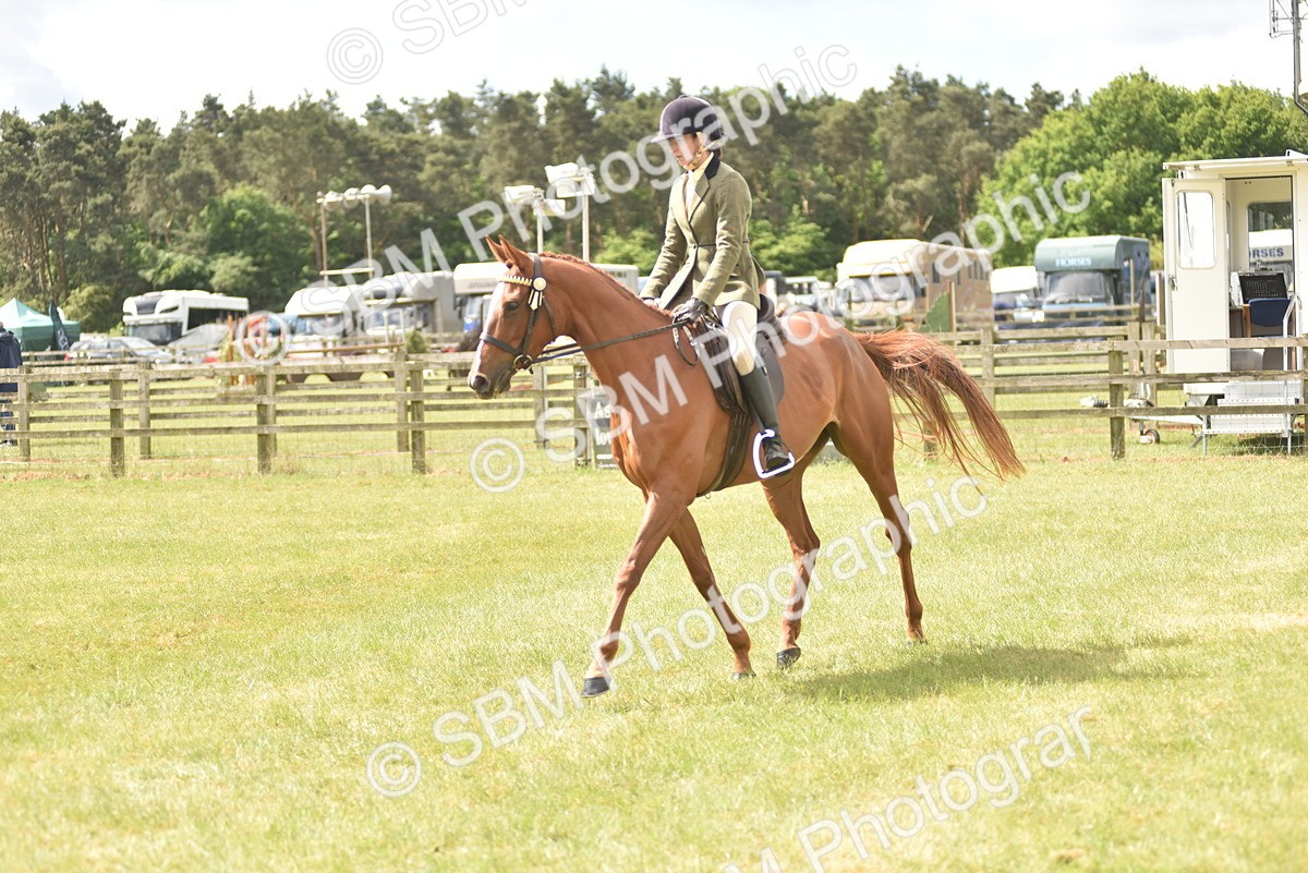 SBM_15115 - Class 113-114 - Retraining of Racehorses Ridden