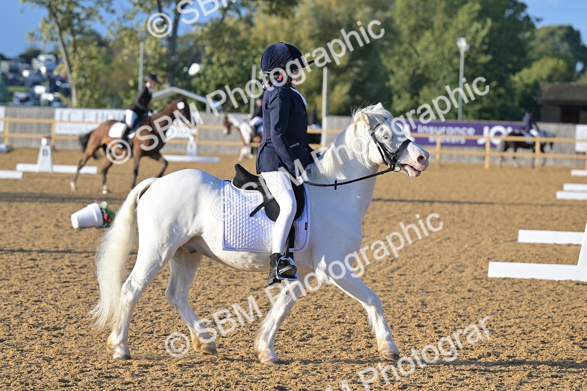 SBM_13266 - D3 - Small Tour Championship Intro 3