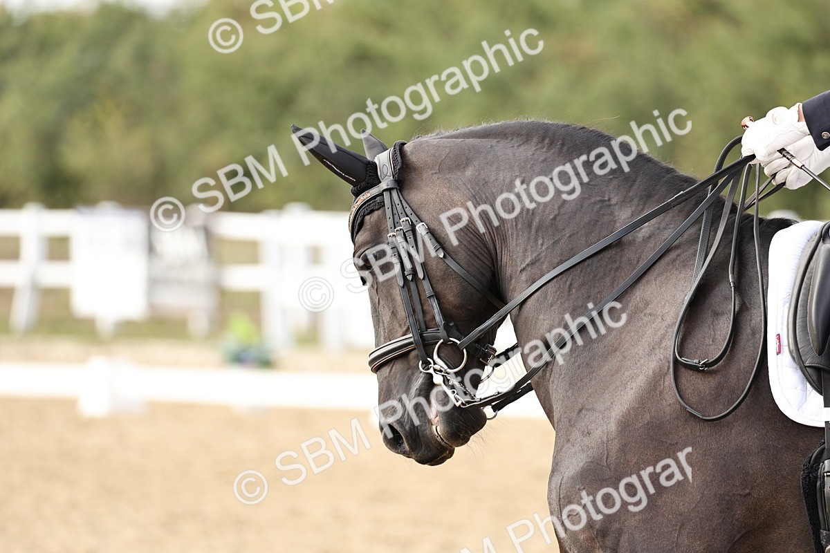 SBM_016289 - Class 10 - Advanced Medium 5