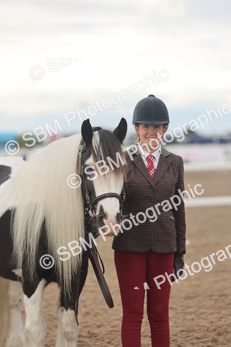 SBM_08518 - Class 29 - IH Veteran Pony