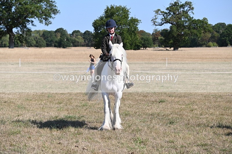 WJ6_7550 - Class 34 Judges Choice