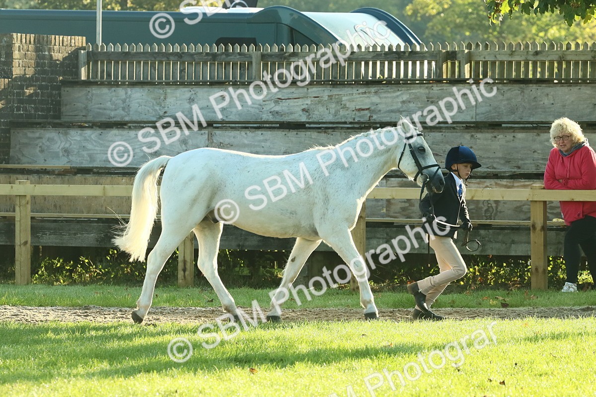 SBM_57358 - S37 - Starters In Hand Showing