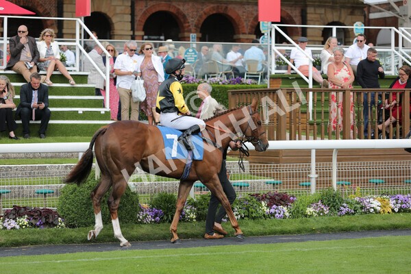 yr11062021r6-10 - Race 6 4.35pm Irish Thoroughbred Marketing Stakes