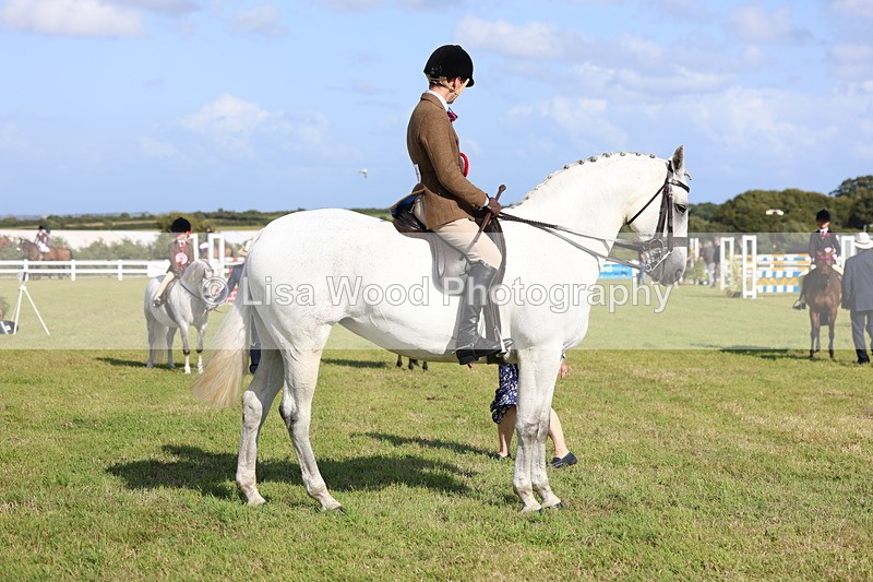 3E7A4007 - Supreme Championship