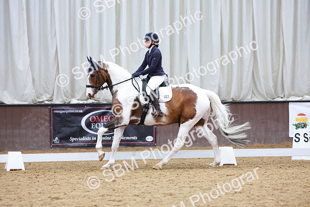 SBM_003558 - Class 8 - Medium 5
