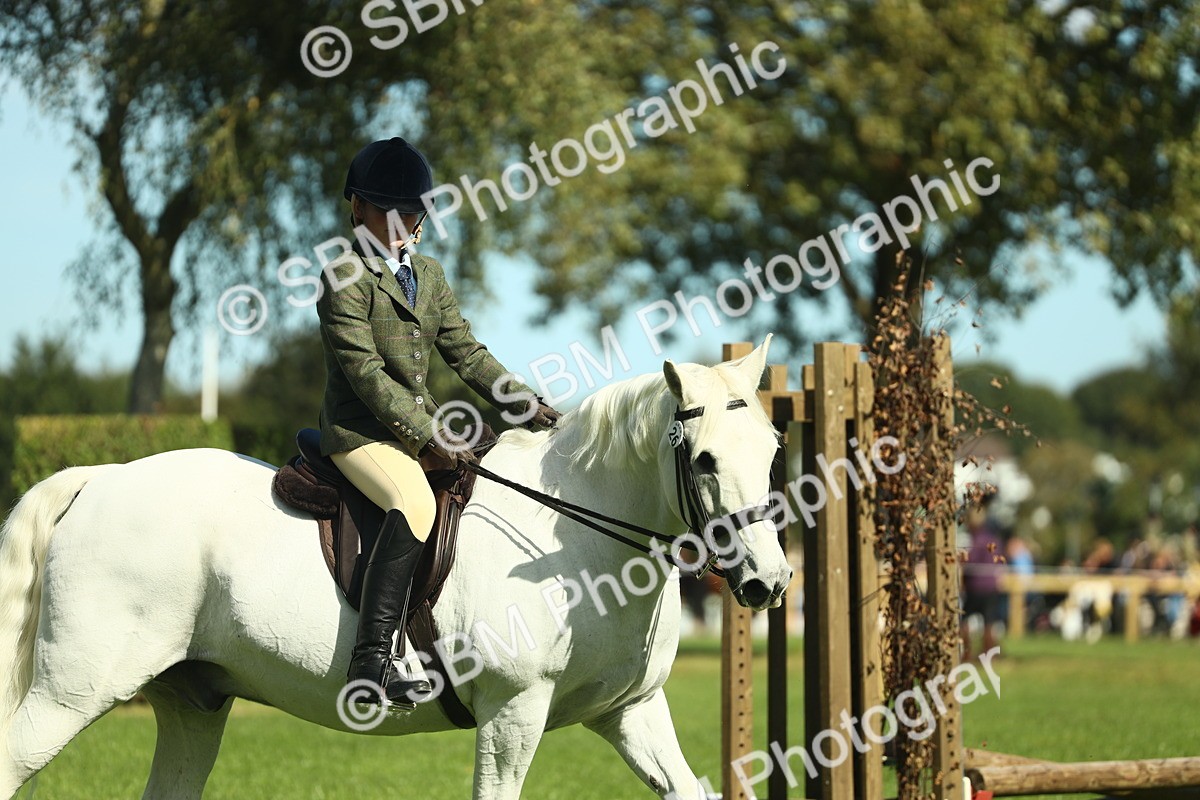 SBM_39188 - S29 - Novice & Newcomers Working Hunter Pony