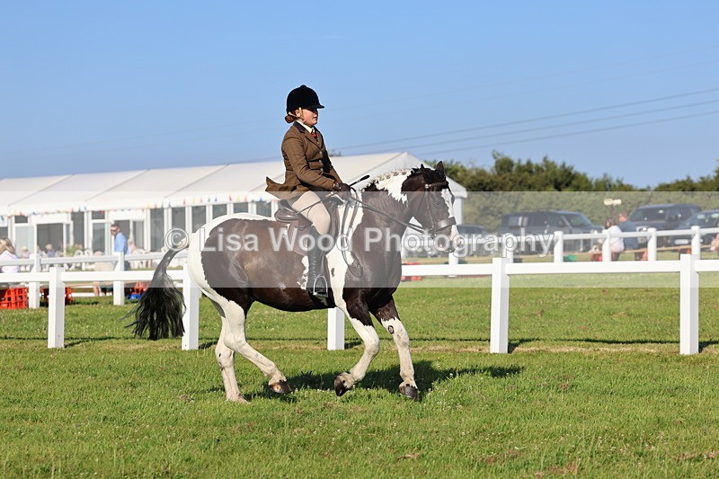 IMG_1370 - Class 28: Ridden Plaited Coloured Pony