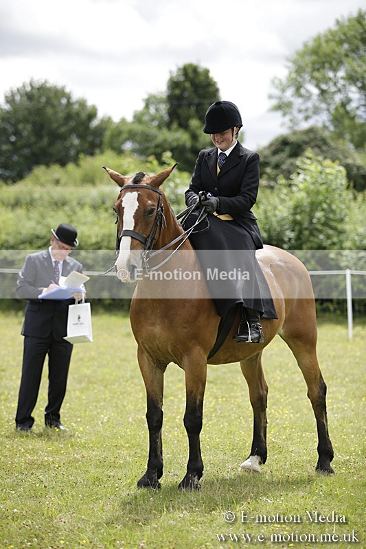 BVR160717-2011 - Side Saddle Classes 16/07/17