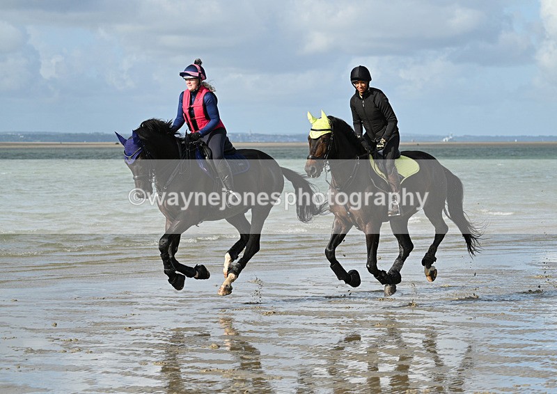 WJ7_4422 - Kellie & Churchill ... do Hayling Island 25-08-24