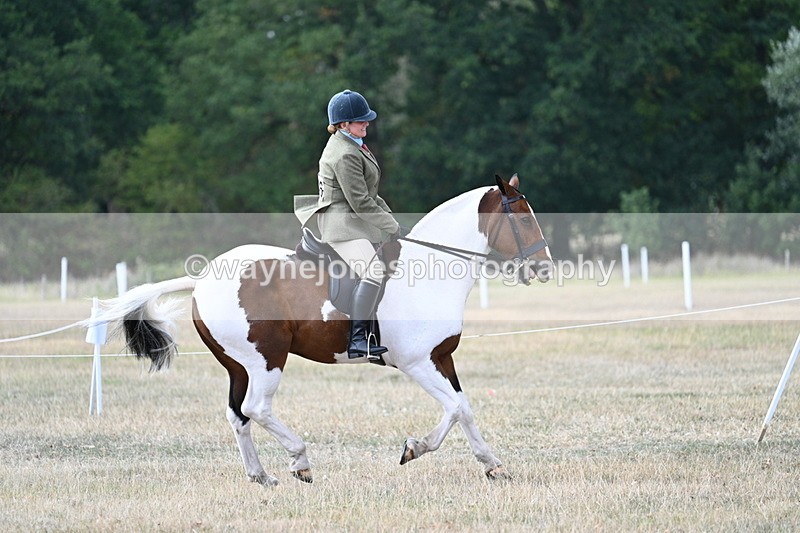 WJ7_7200 - Class 14 Ridden Coloured