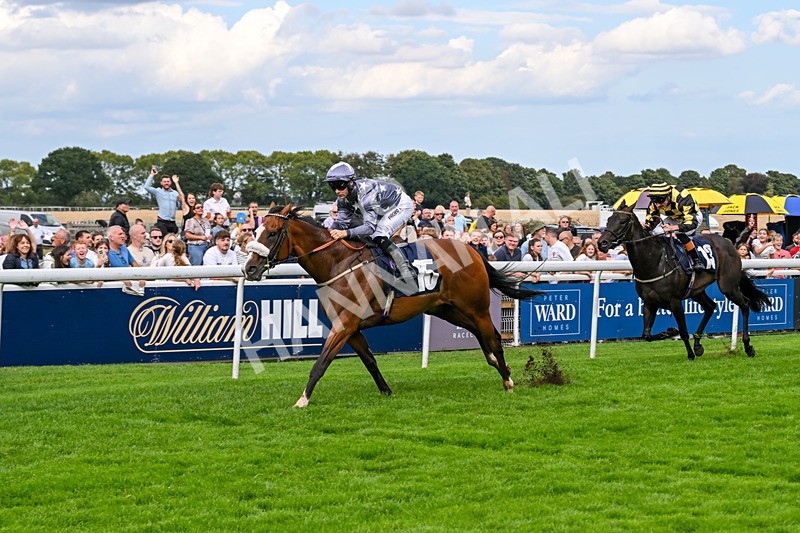 300826-Race 5-Harb-1126 - Race 5 3.55pm Constant Security Handicap