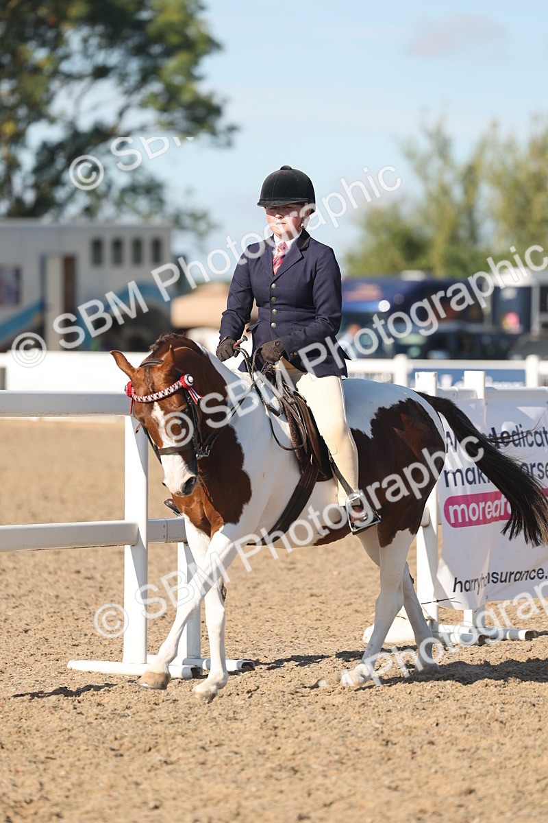 SBM_12342 - Class 304 - Ridden part Bred Horse Pony