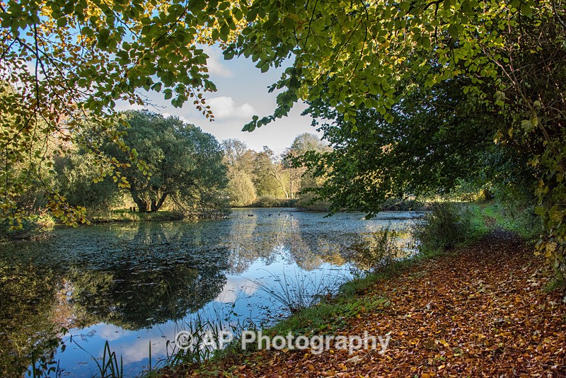 ACP_5242-1 - Lakes