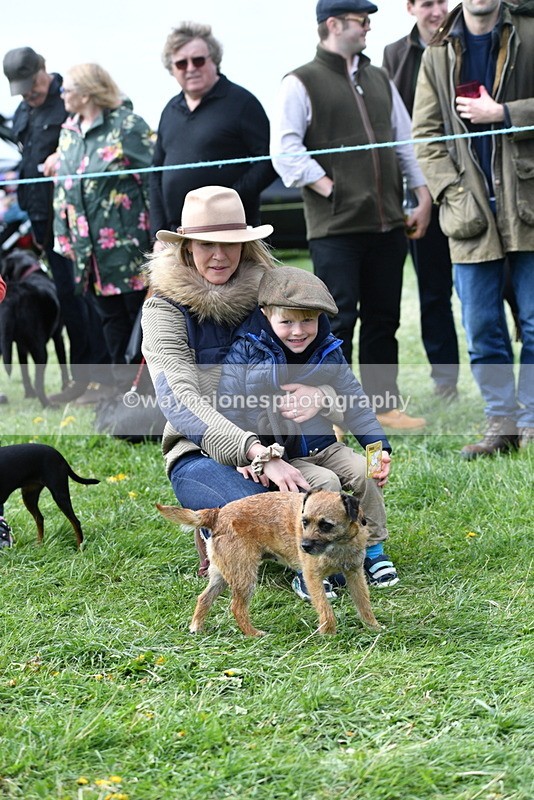 WJ5_0555 - Class 7 Best Terrier