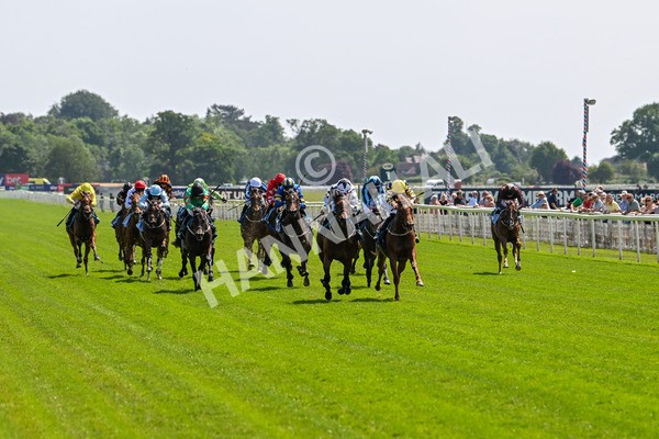 130625-Race 2-Carnation Queen-8601 - Race 2 2.25pm Coopers Marquees Rous Selling Stakes