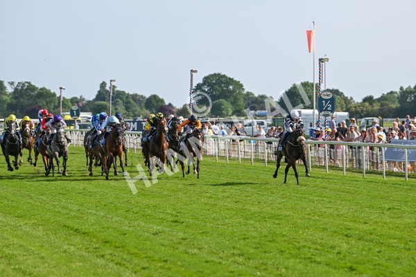130625-Race 7-Dawn Of Liberation-0141 - Race 7 5.20pm Irish Thoroughbred Marketing Handicap