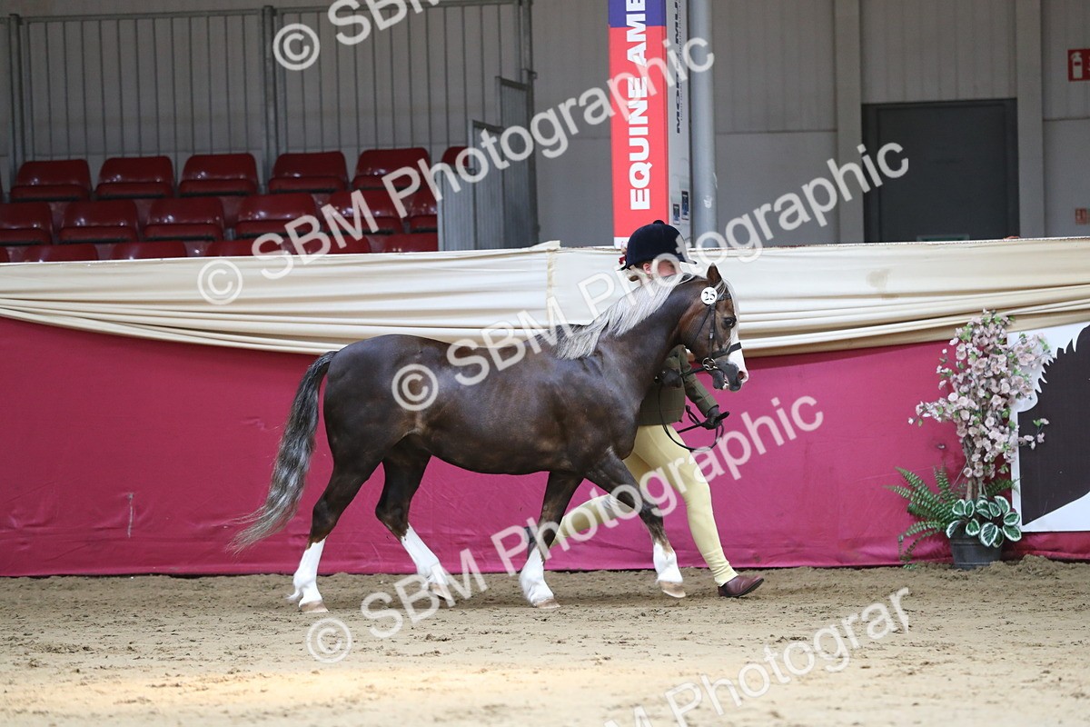 SBM_04313 - Class 7R Regional - IH Diamond