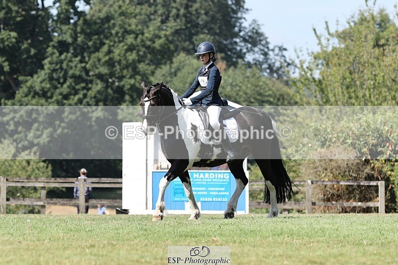 250823A-121059-29418 - Arena D