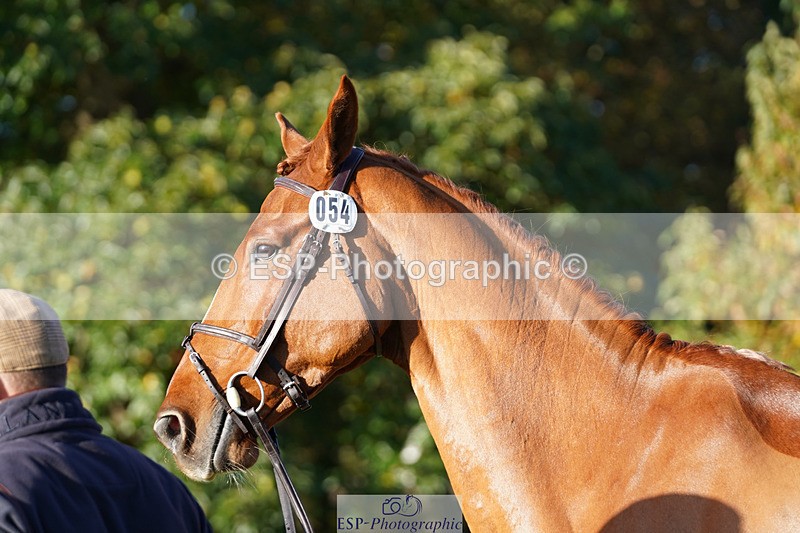 241026-100318-11571 - 054-Matthew.Heath-DASSETT.VENTURE
