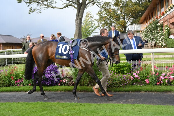 yr24092021r2-40 - Race 2 2.05pm William Hill Extra Places Races Stakes