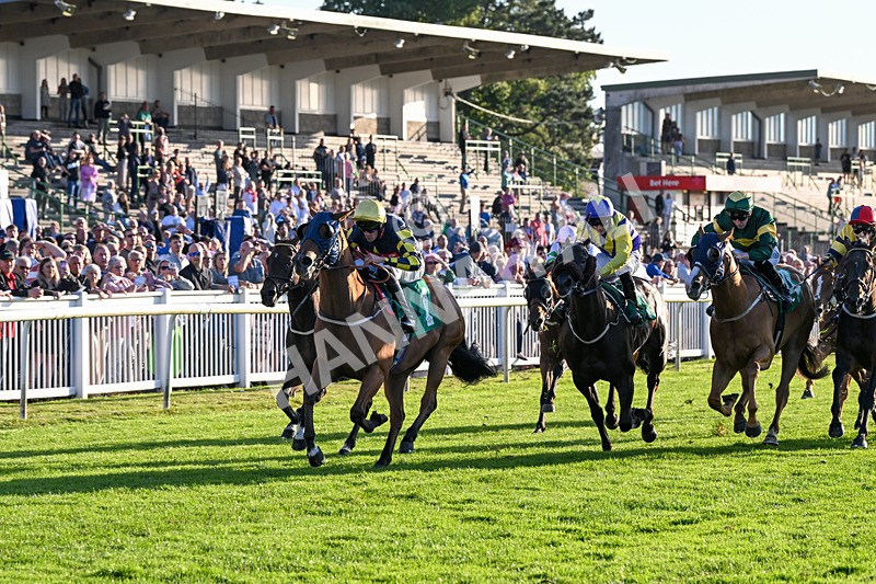 160824-Race 5-Ready Freddie Go-9571 - Race 5