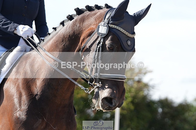 250906-152348-04736 - 110-Chelsea.DonovanFrankie.zenturio