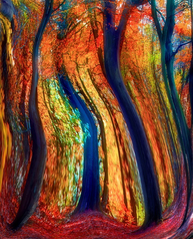 Hidden Realm Abstract - Abstracts