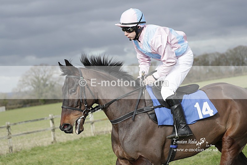 PtP 250223 0395 - Kimblewick Hunt Point-to-Point Kingston Blount 25/02/23
