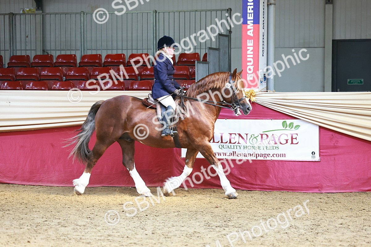 SBM_23287 - class 906 - Supreme Final - Ridden Pre Vet