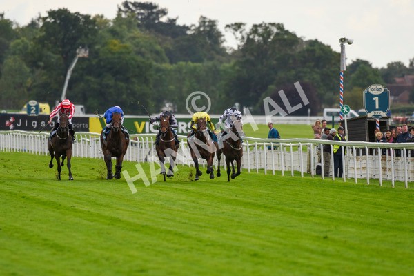 230923-Race 3-Politico-5650 - Race 3 3.10pm Happy 60th Birthday Angela Clark Nursery Handicap