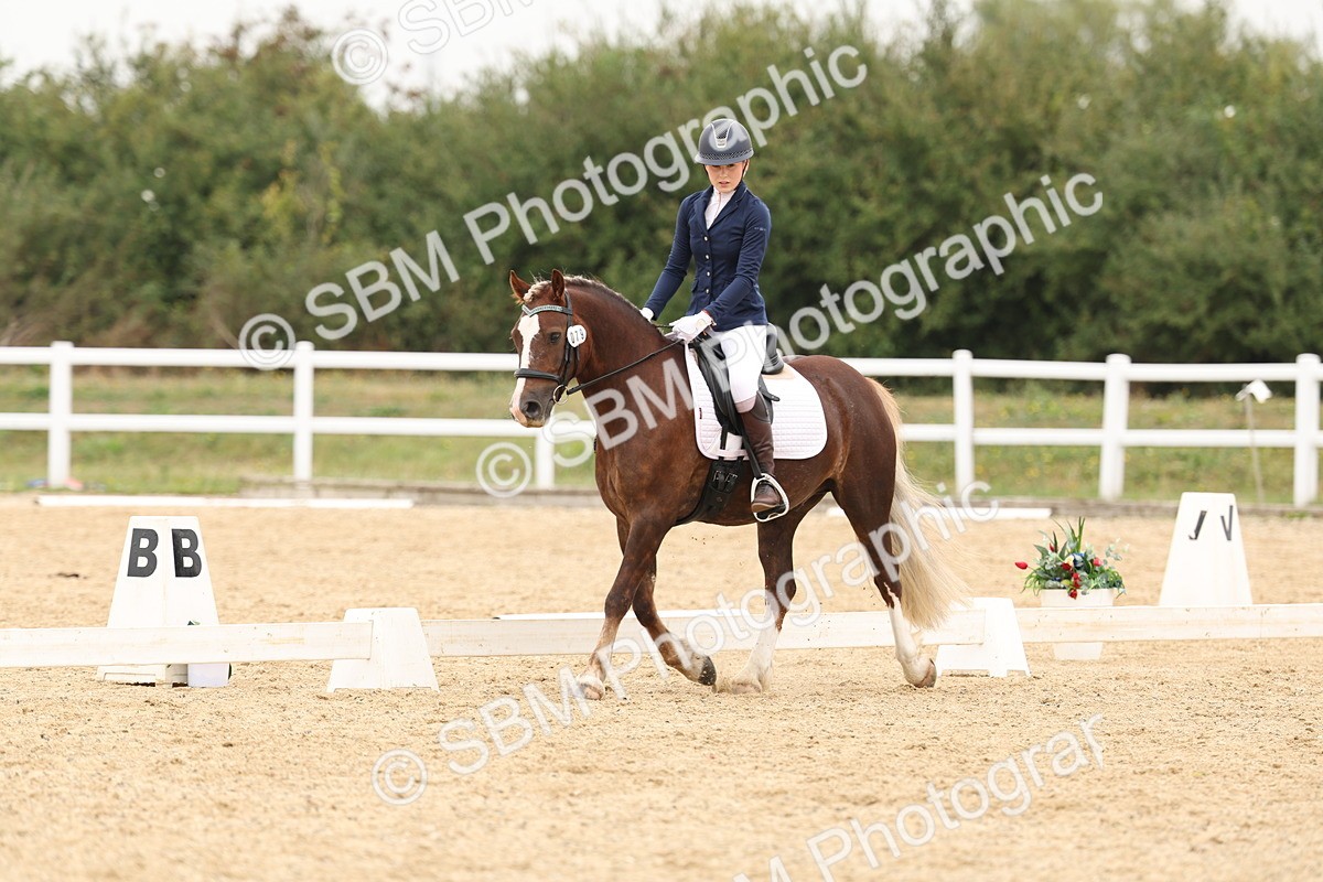 SBM_01041 - Class 8 - Novice 27 Champs