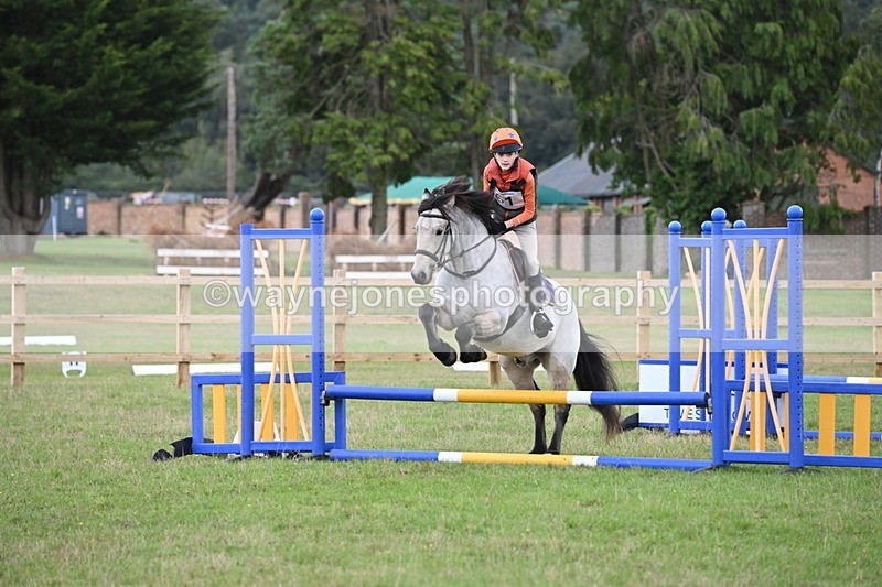 WJ6_1610 - 60cm Time 12:11 to 12:28