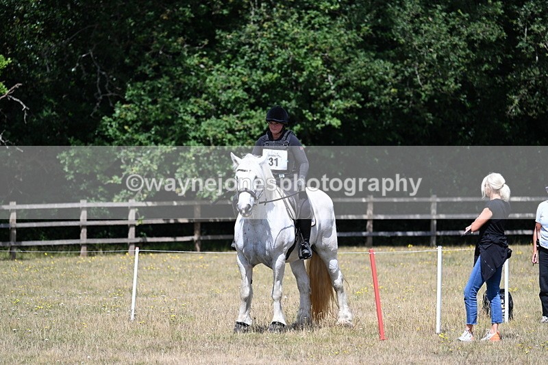 WJ7_9919 - 40cm Time 11:30 to 11:46