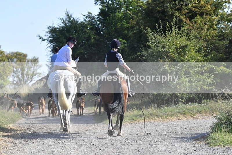 WJ5_4843 - Walk out with the hounds