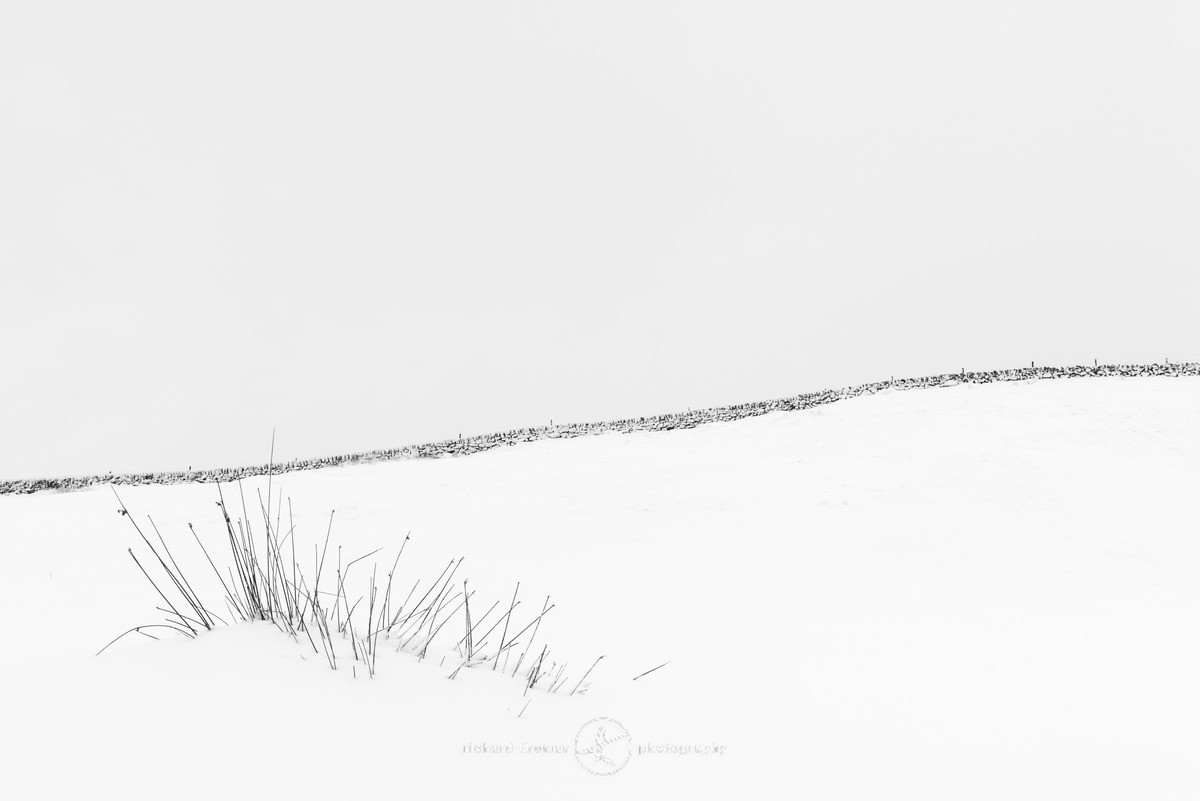 Dividing line - WINTER