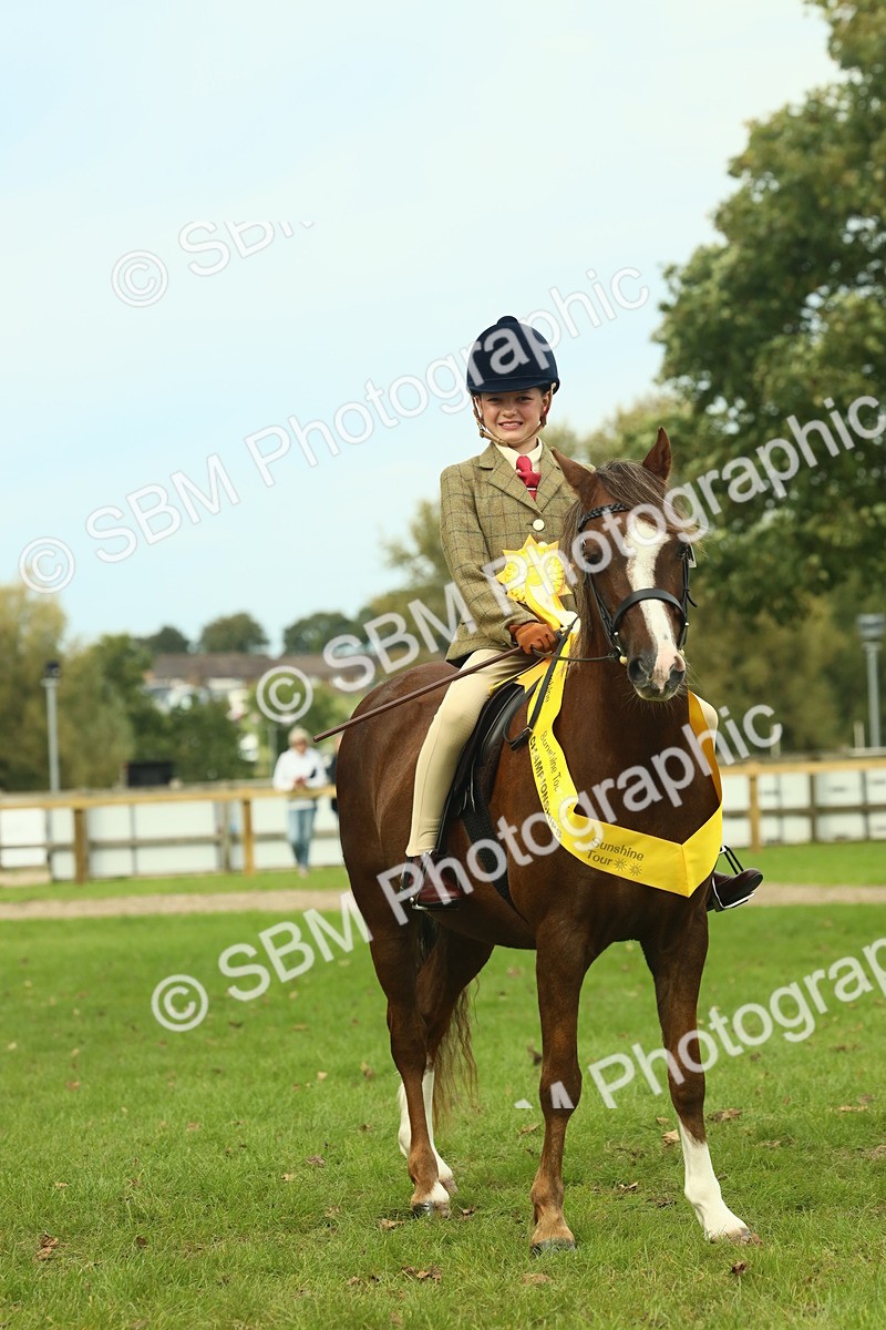 SBM_70021 - S59 - Mountain & Moorland Ridden Small Breeds