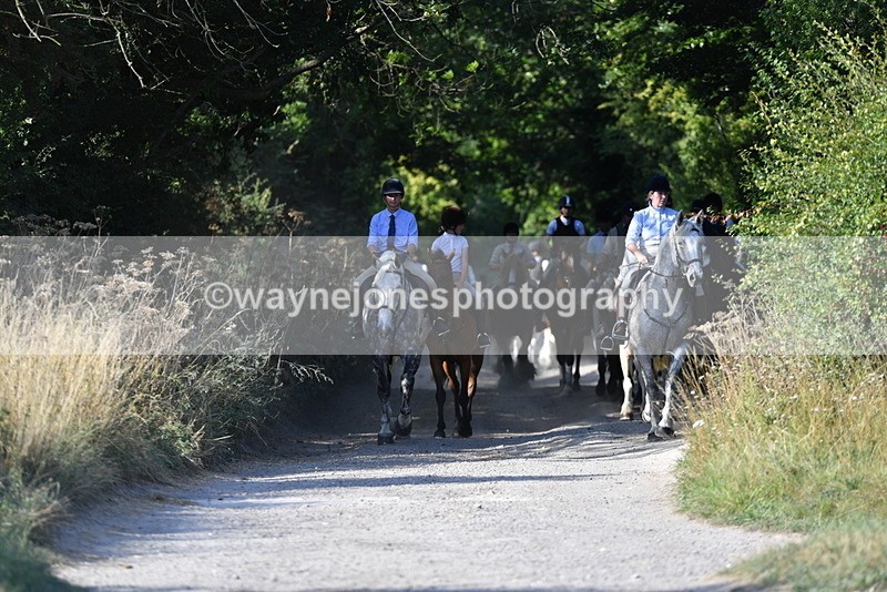 WJ5_4848 - Walk out with the hounds
