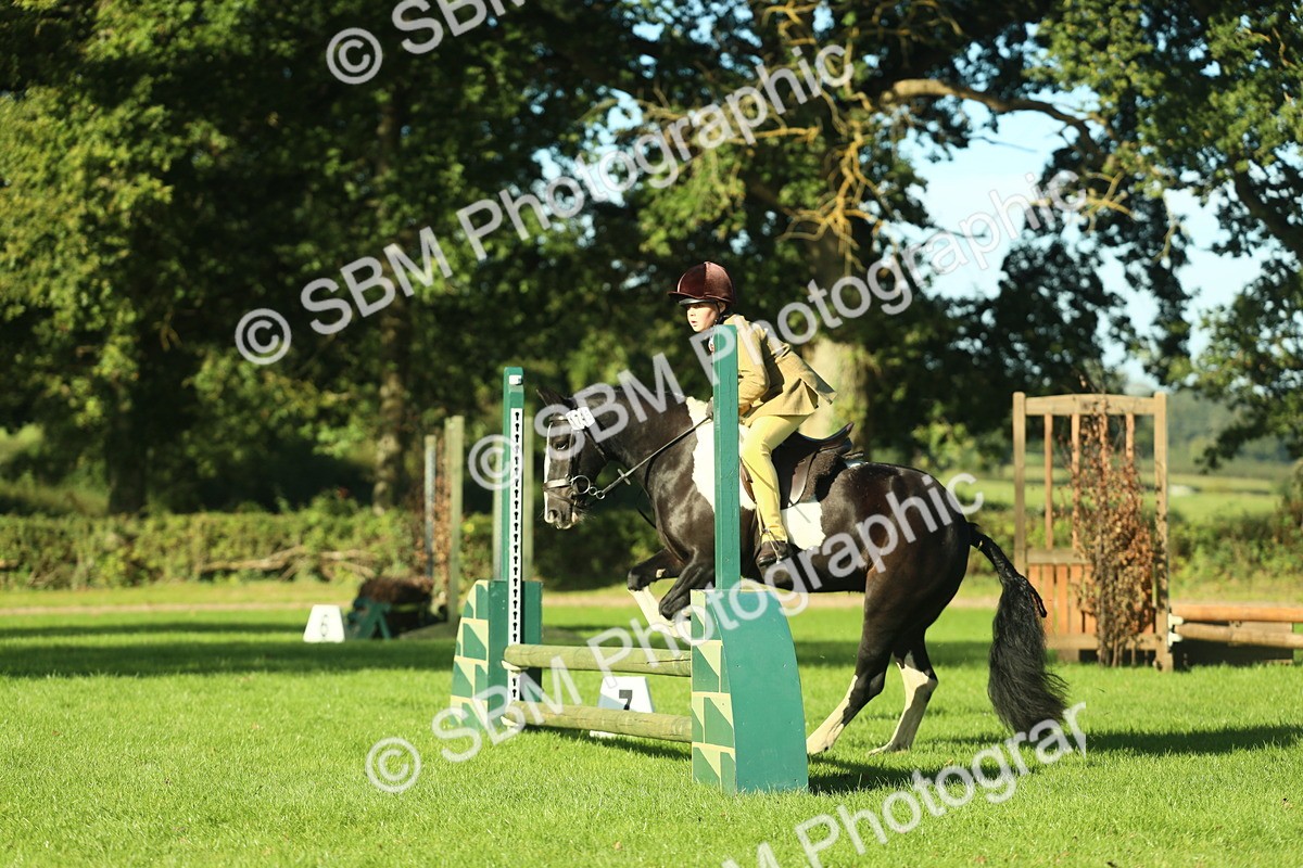 SBM_36406 - S29 - Novice & Newcomers Working Hunter Pony
