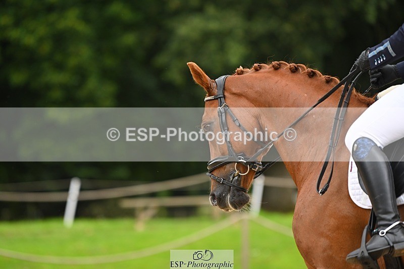 230813-115425-06747 - Cls 12 Elem Silver 10.35 to End